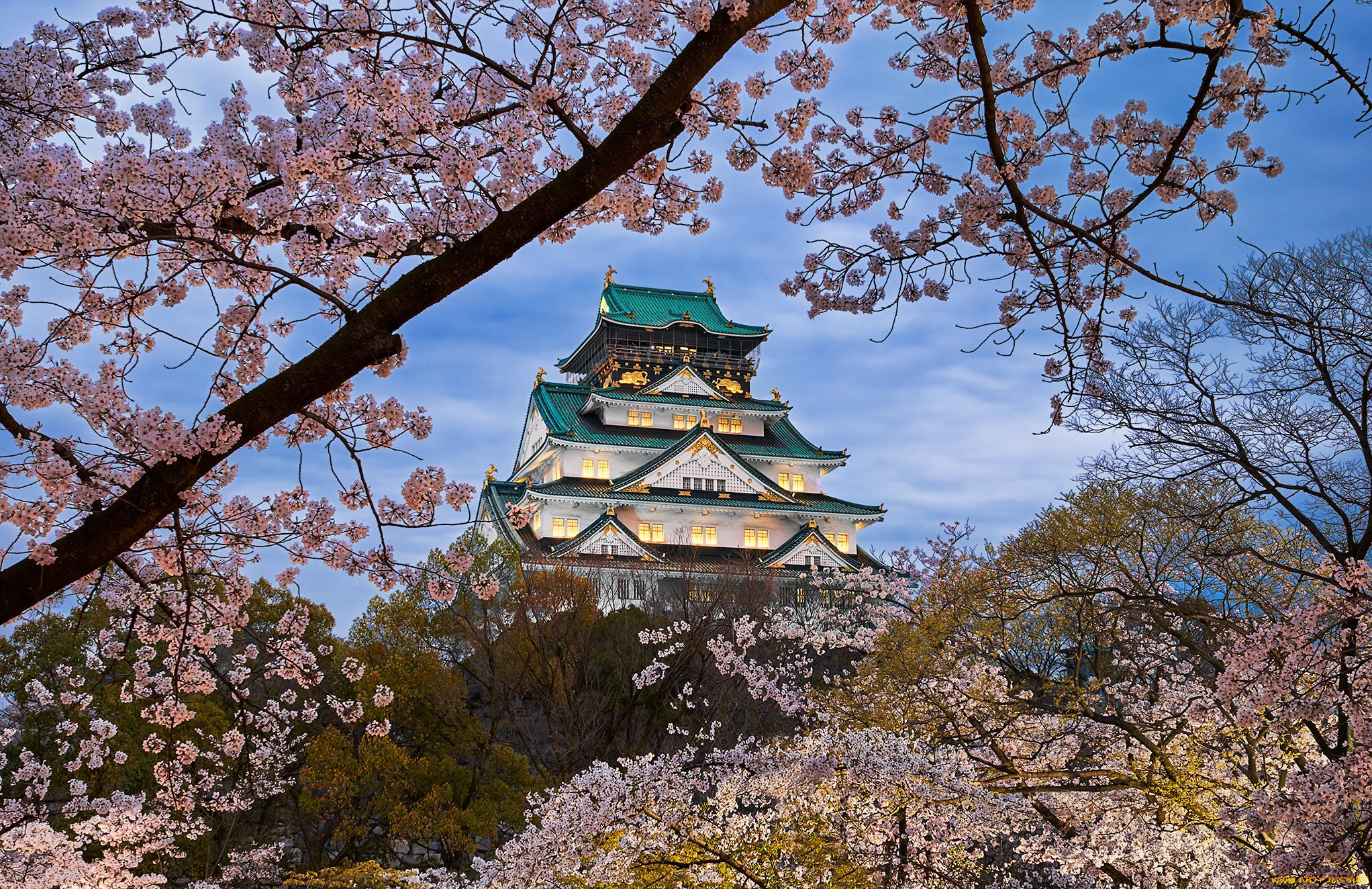 osaka castle in japan, ,  , , 